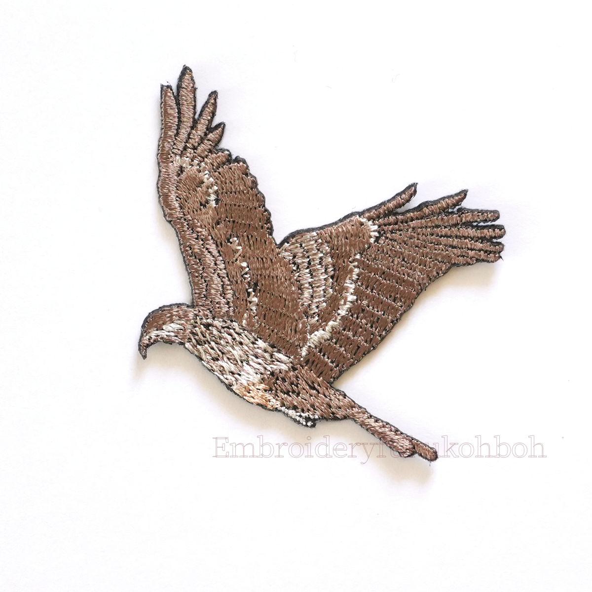 トビ　　トンビ　鳶　鵄　鷹　猛禽1枚目の画像