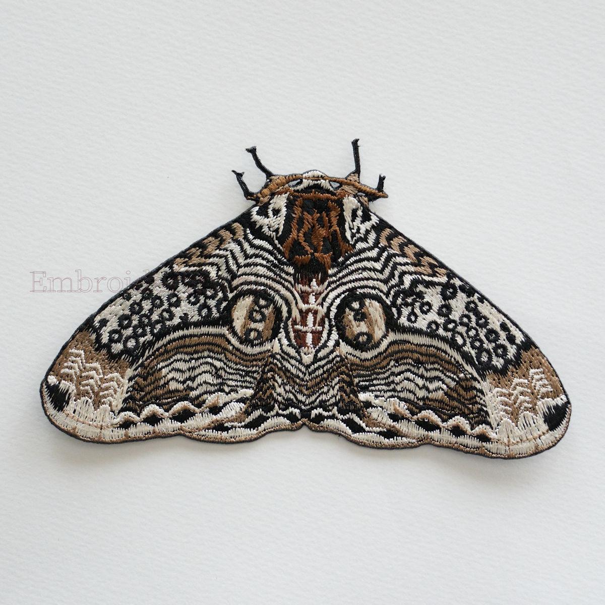 イボタガ　大サイズ1枚目の画像