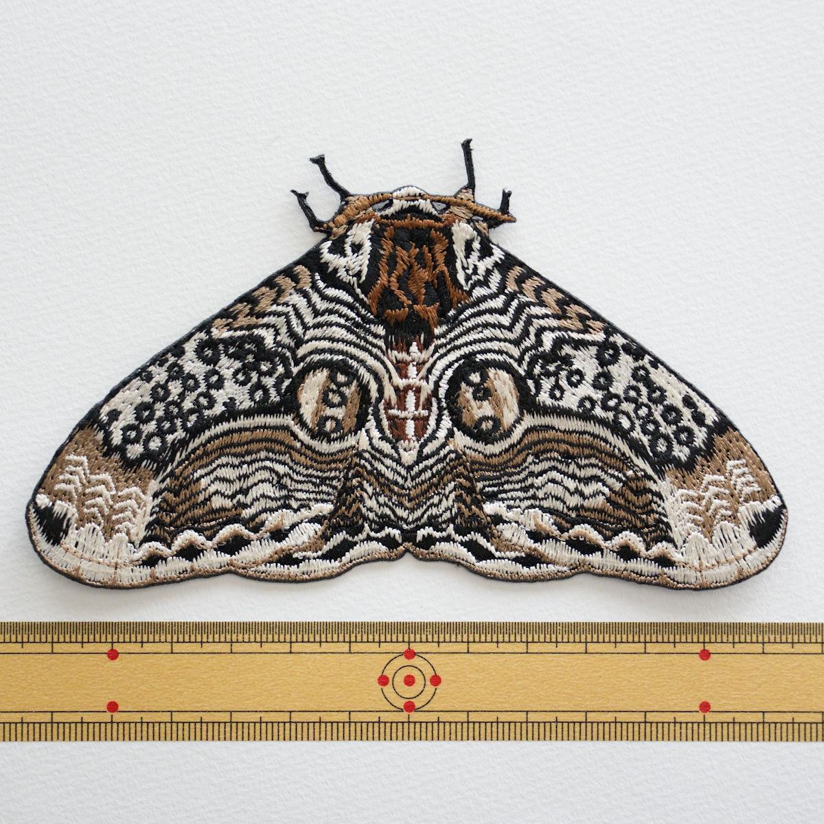 イボタガ　大サイズ | 2枚目