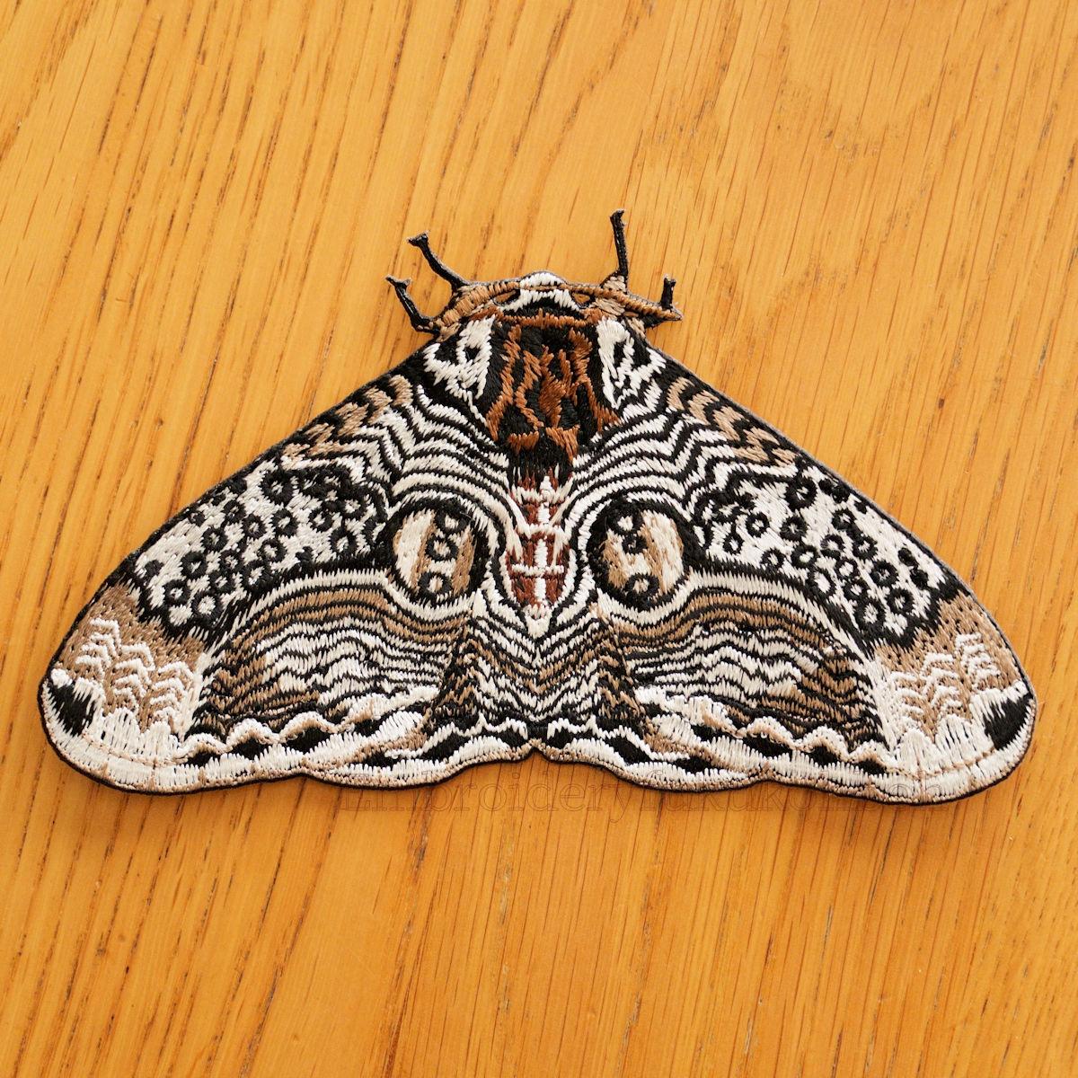 イボタガ　大サイズ | 3枚目