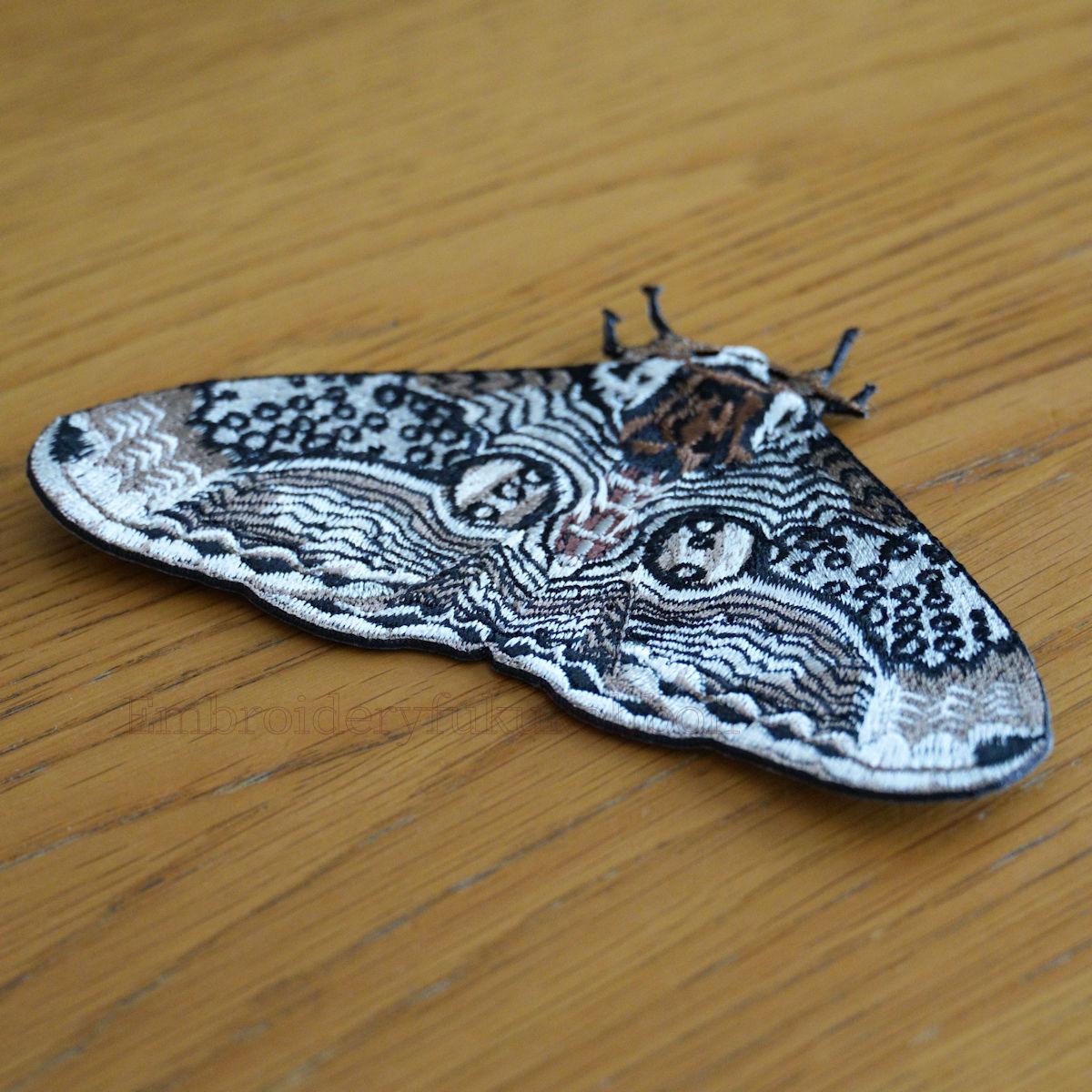 イボタガ　大サイズ | 4枚目