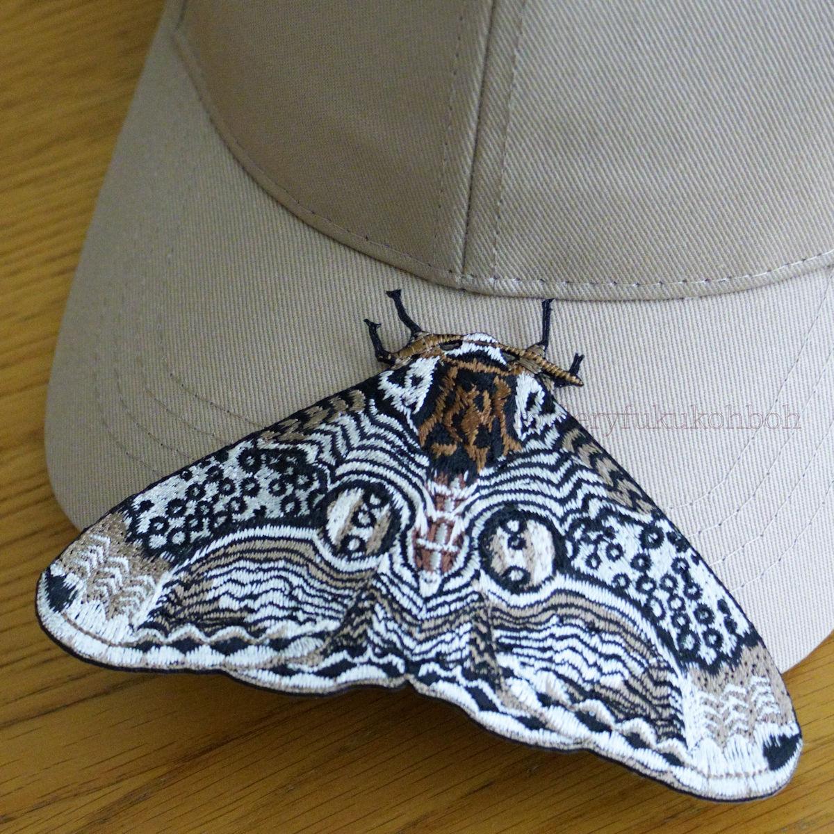 イボタガ　大サイズ | 6枚目