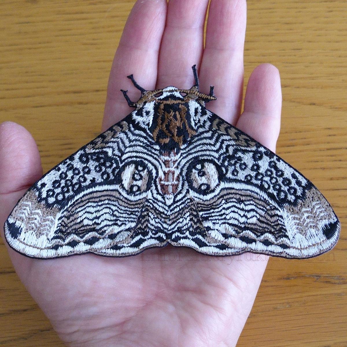 イボタガ　大サイズ | 7枚目