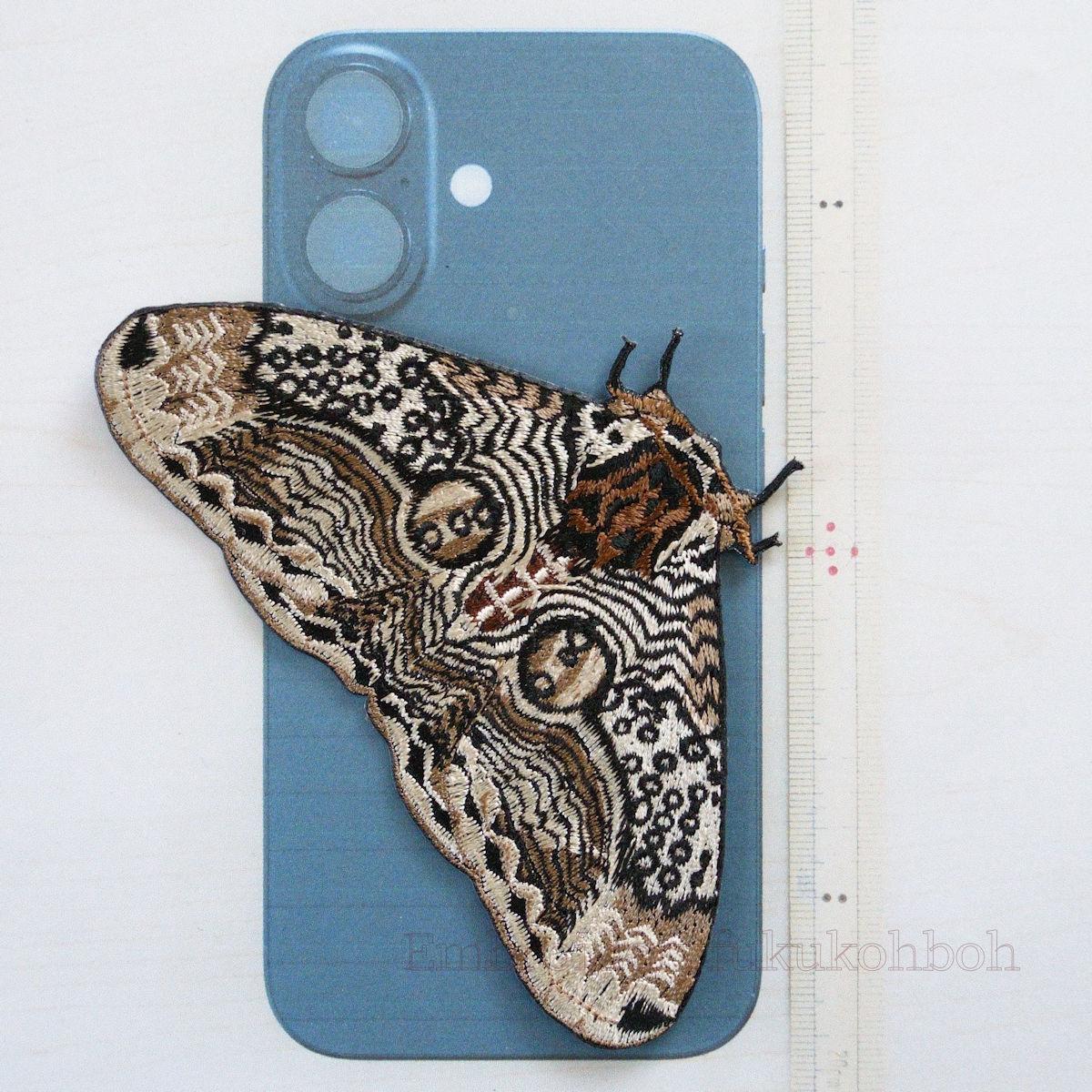 イボタガ　大サイズ | 8枚目