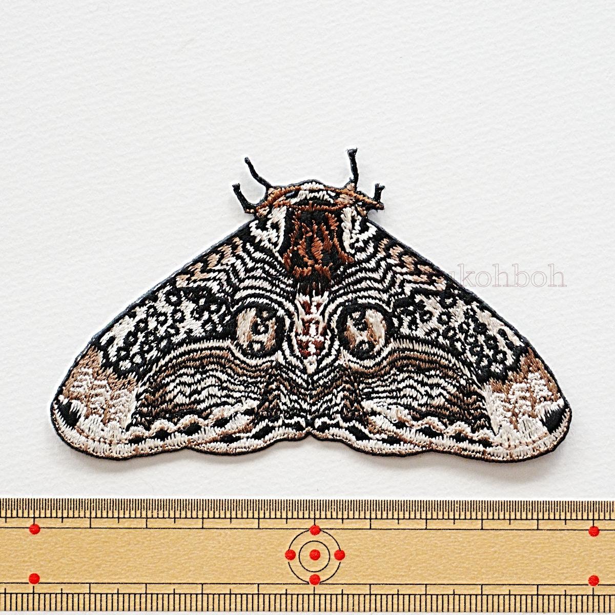 イボタガ　小サイズ | 2枚目