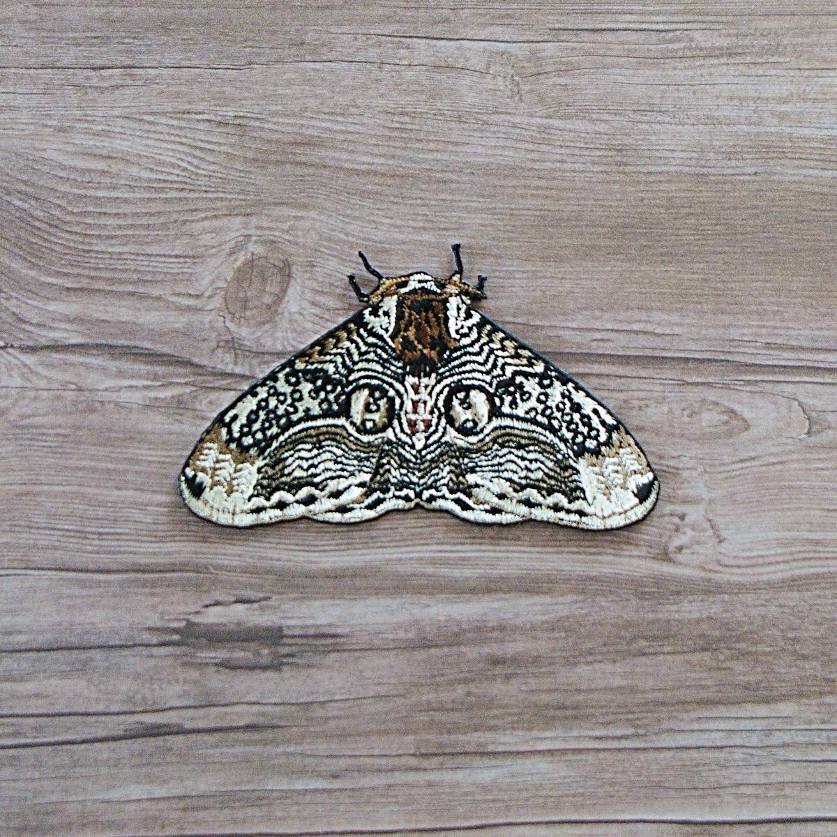 イボタガ　小サイズ | 3枚目