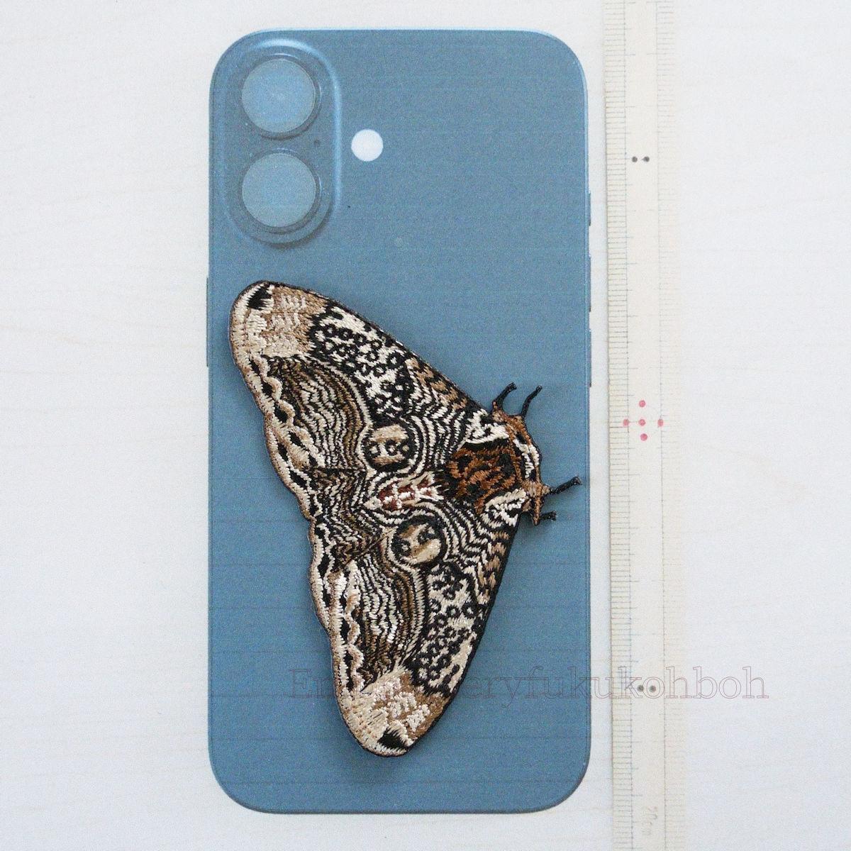 イボタガ　小サイズ | 5枚目