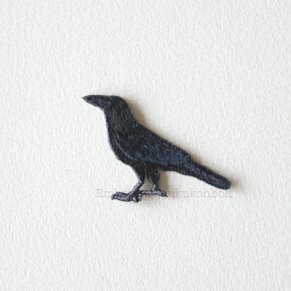 カラス ハシボソガラス1枚目の画像